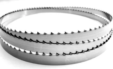 10 Bone saw blades 1830